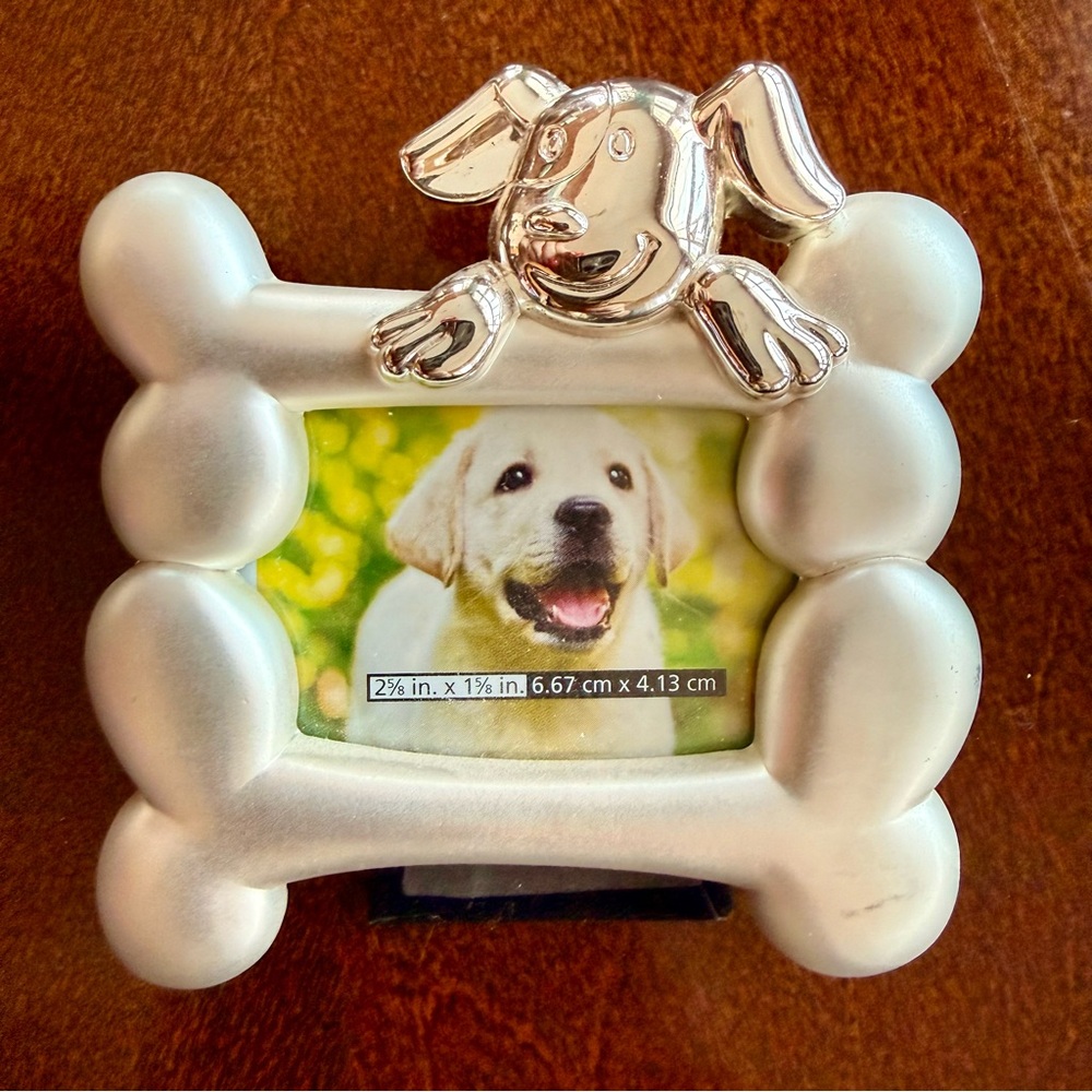 NWT  Papyrus Silver Dog Bone Frame